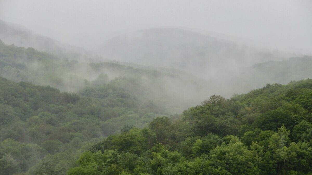 デザインレビューを短く回す: 見つけたい欠陥から逆算する